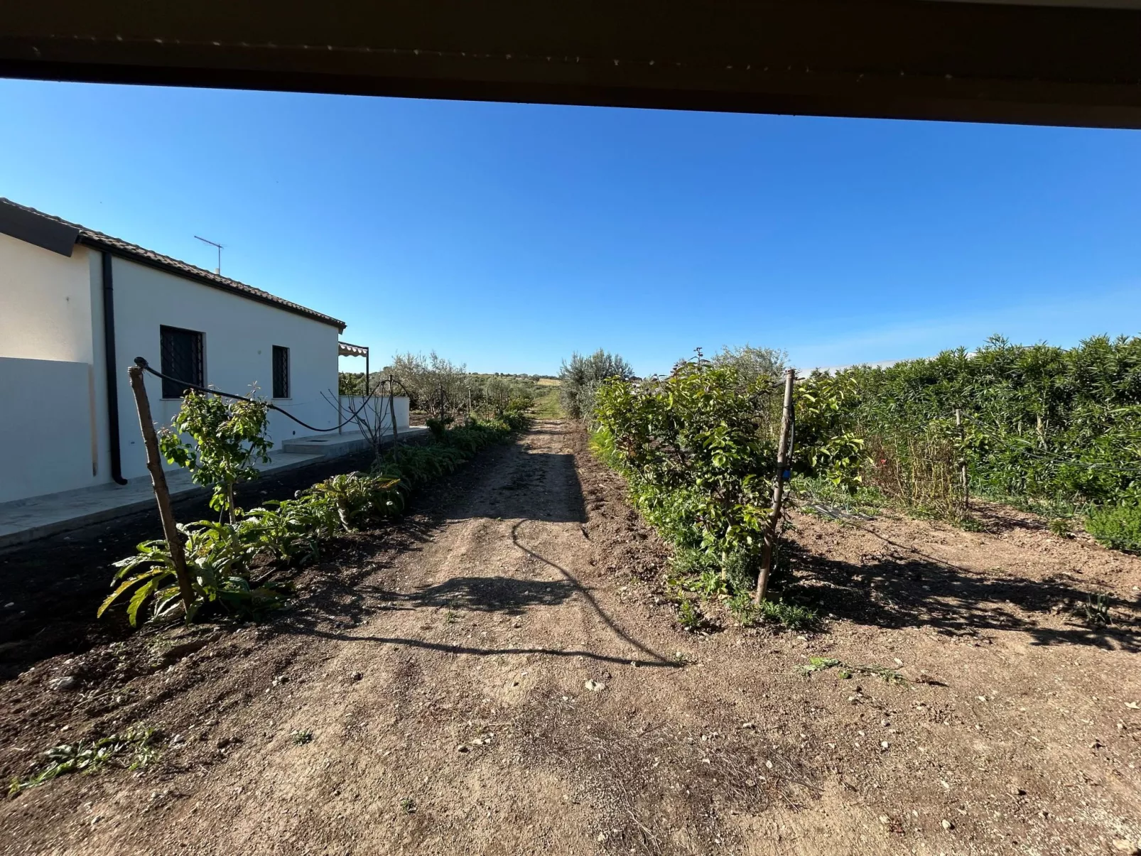 Wohnung Il Mandorlo - Image-tags.info