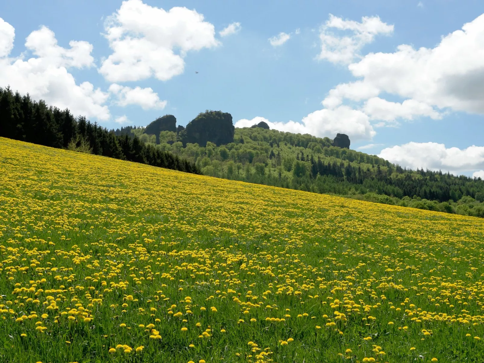 ZH 10 - Image-tags.info