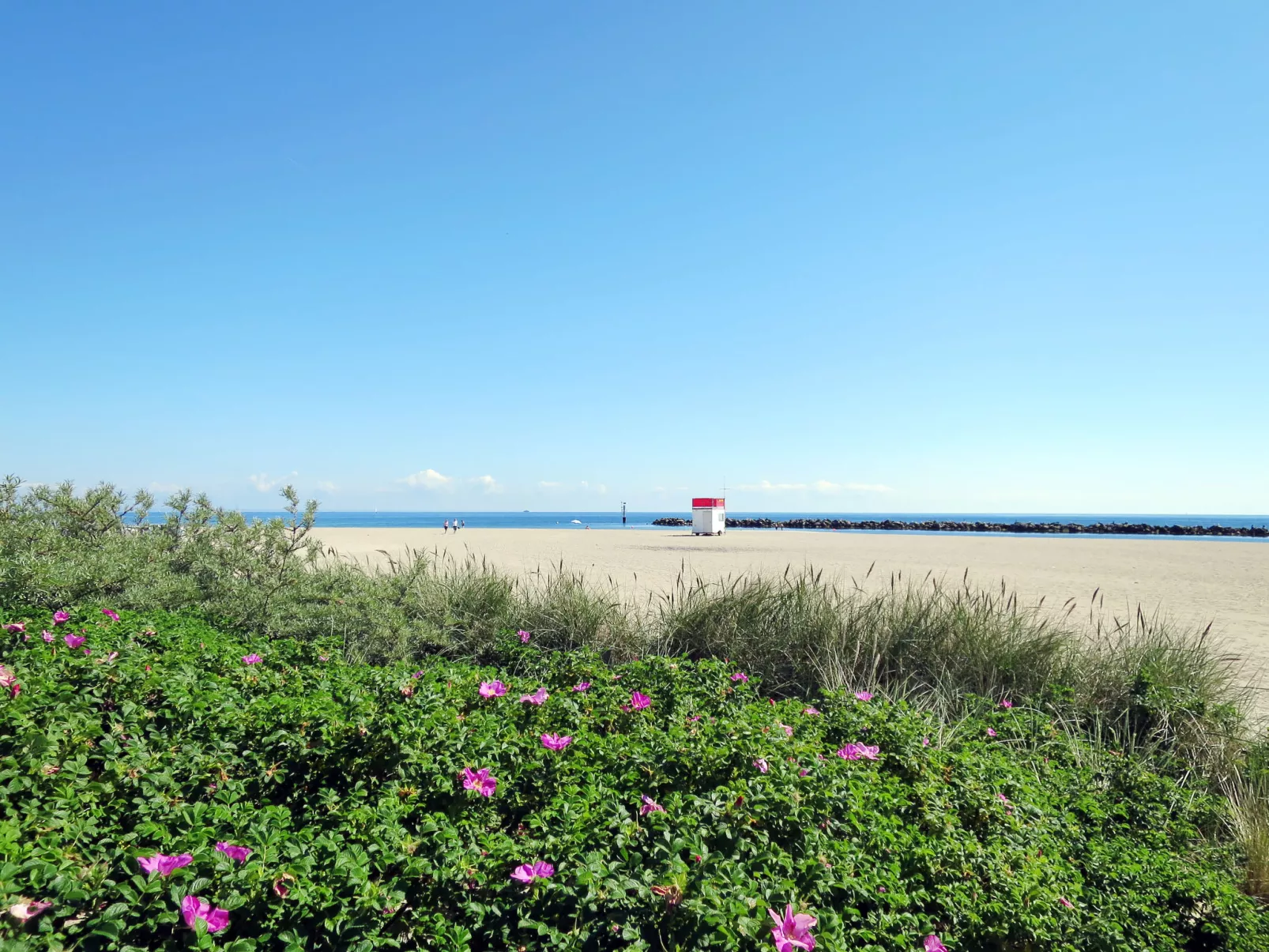 Komfortable Ferienwohnung in Ostseebad Damp mit Großer Terrasse - Omgeving