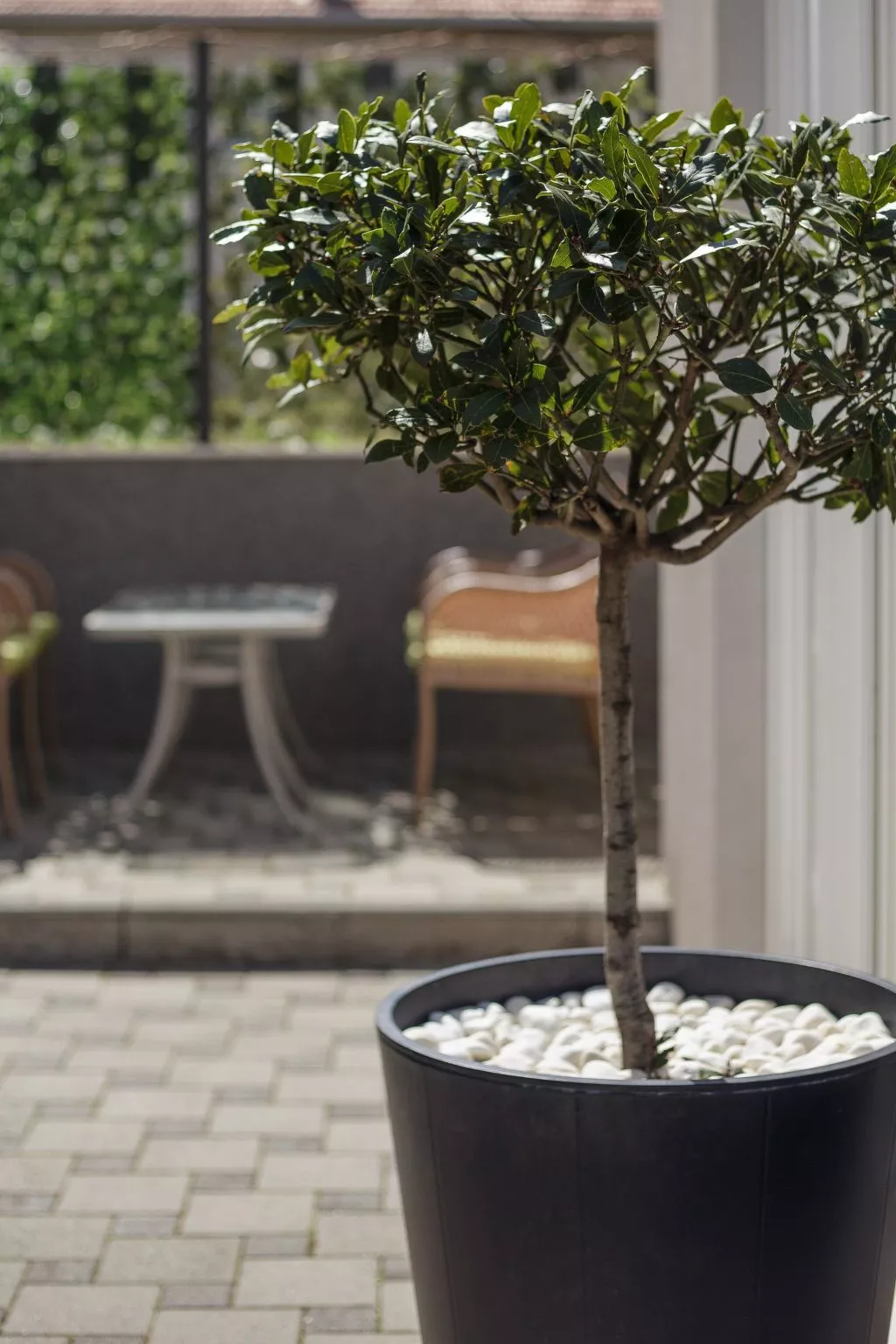 Ruhige Ferienwohnung mit Veranda und Garten - Image-tags.info