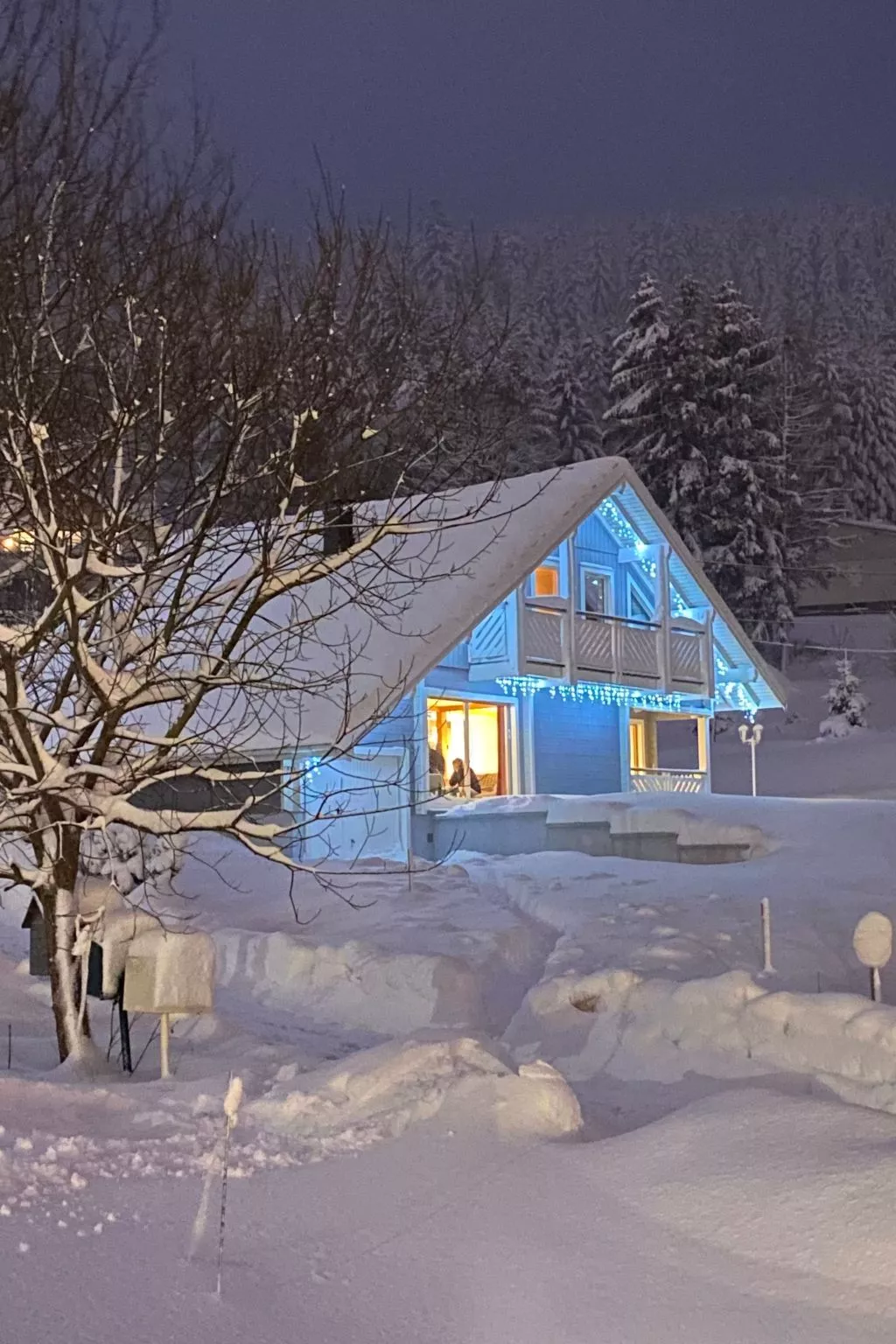 Chalet "Le Flocon Bleu" mit Blick auf das Wasser - Image-tags.info