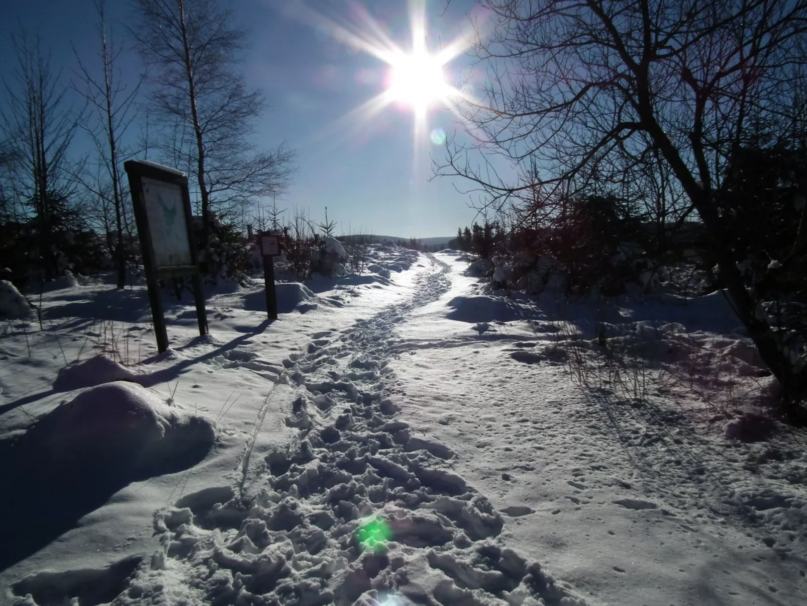 ZH 10 - Image-tags.info