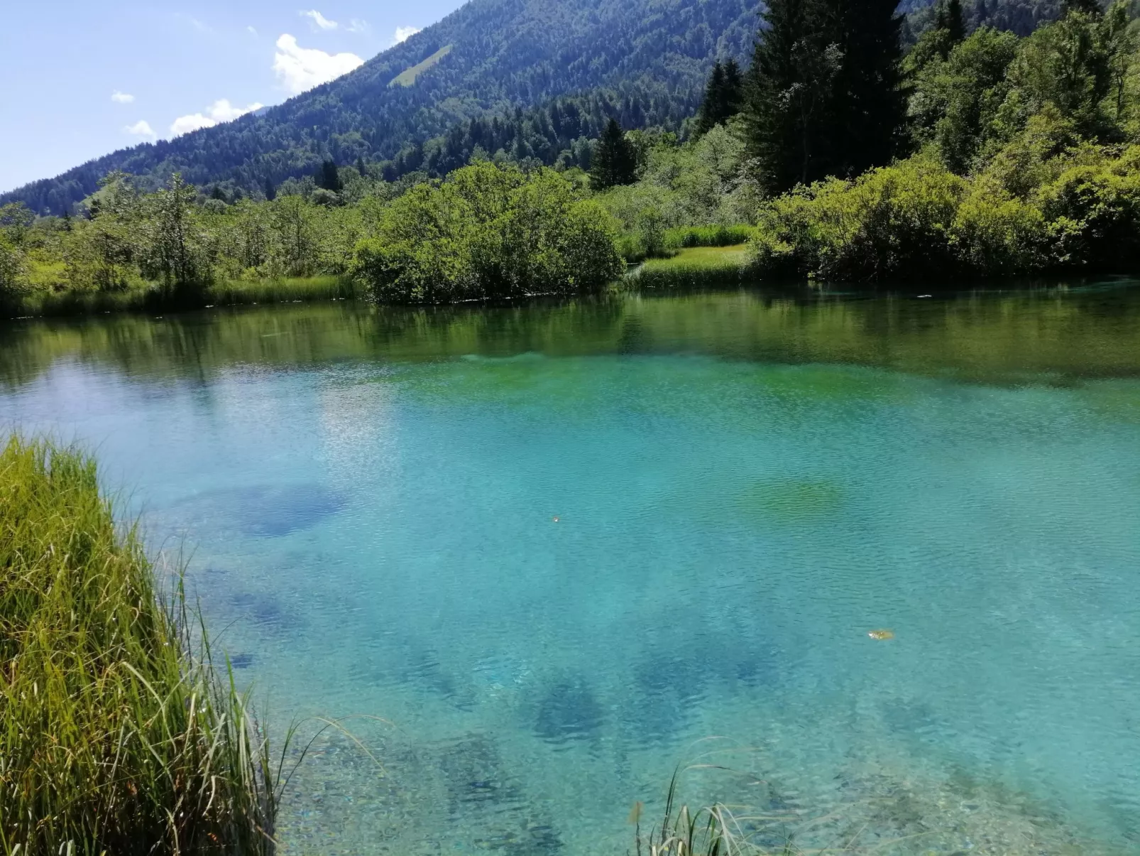 Mit eigenem Garten und Terrasse - Image-tags.info