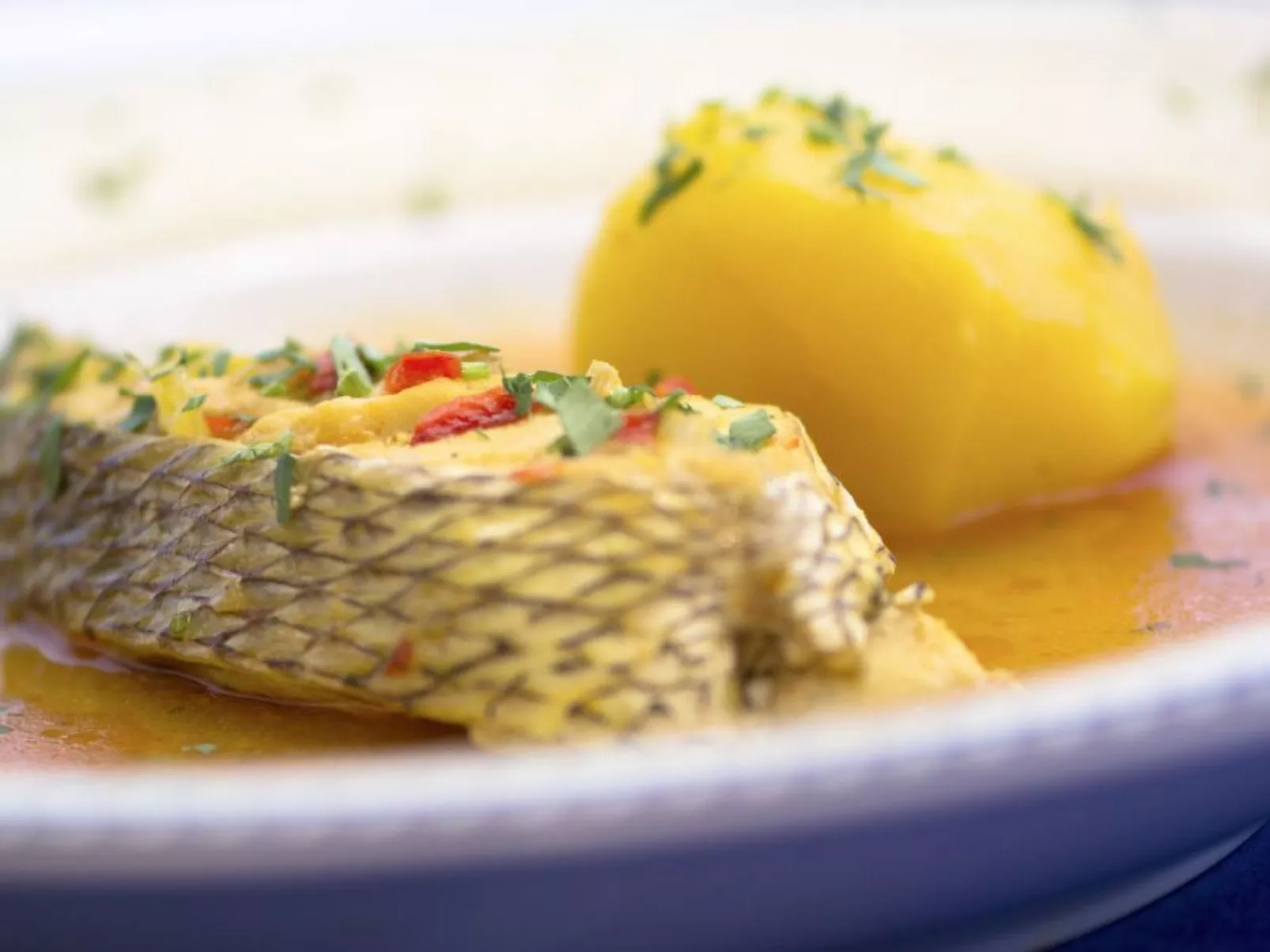 In Costa Meloneras mit Großem gemeinsamem Pool - Image-tags.info