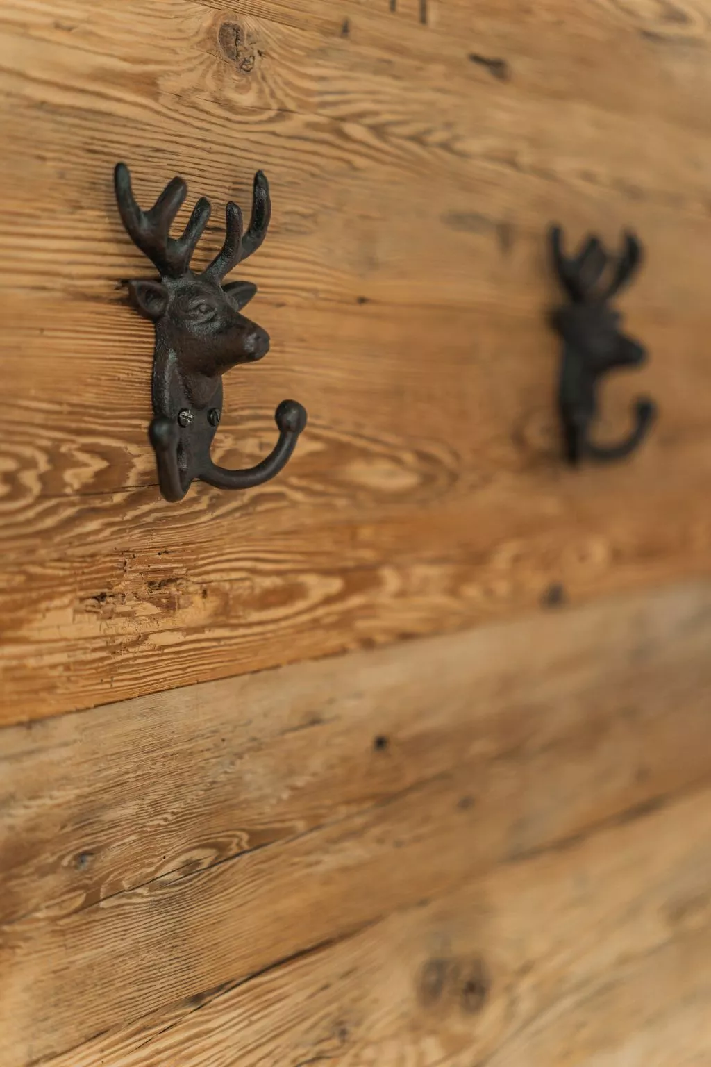 In Rußbach Am Pass Gschütt mit Garten, Terrasse und Grill - Image-tags.info