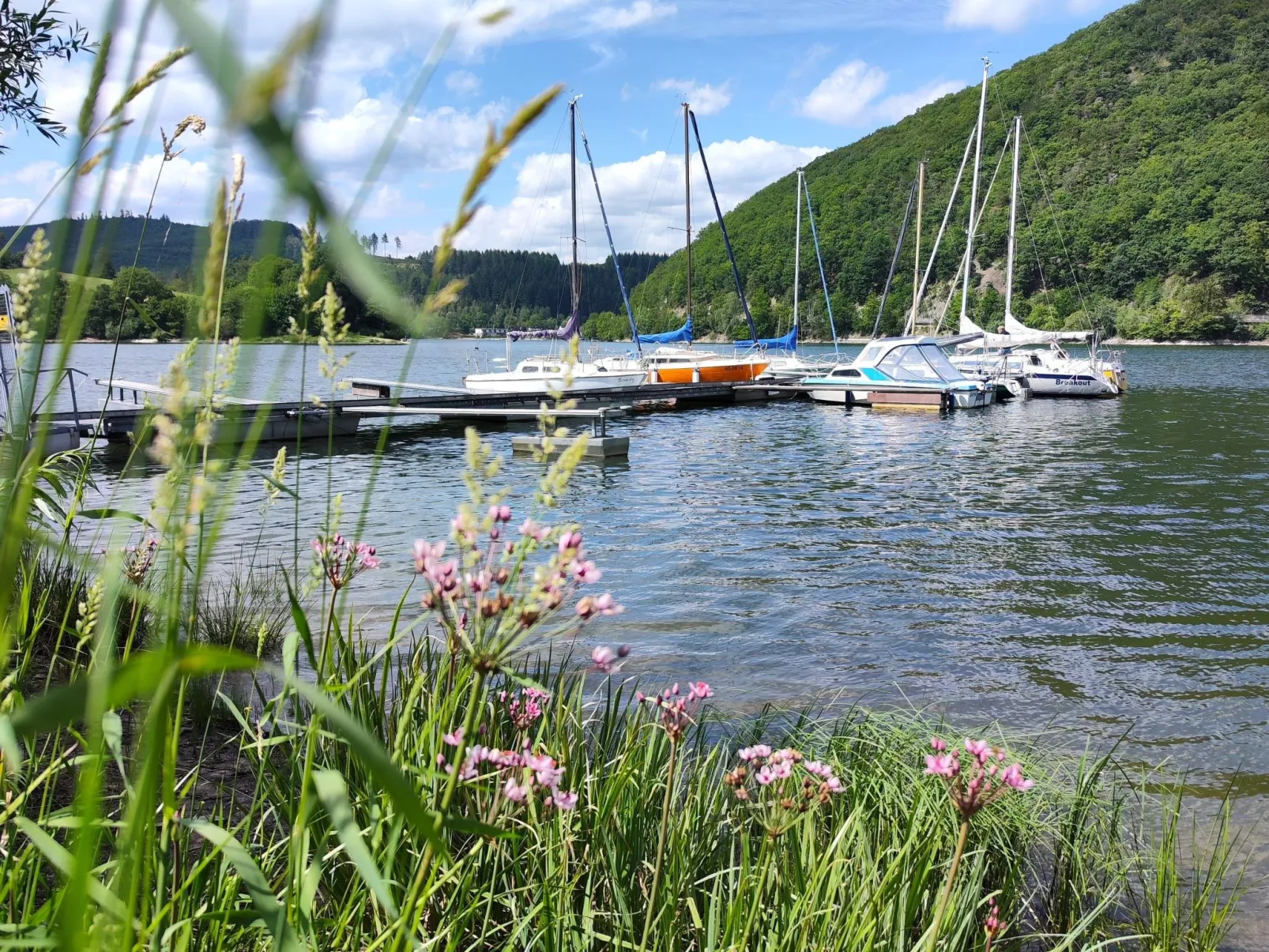 Diemelseeholiday Ferienwohnung im Sauerland - Image-tags.info