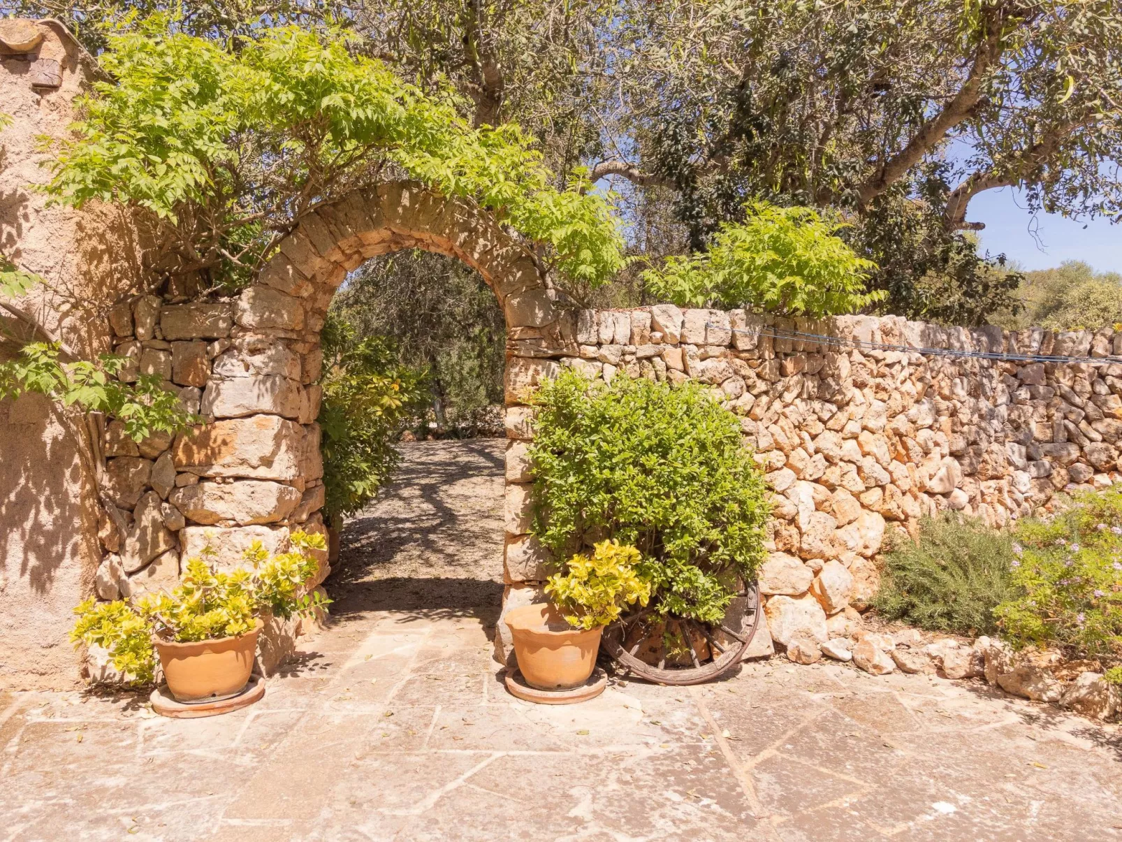 Finca Mal Ric - Buiten