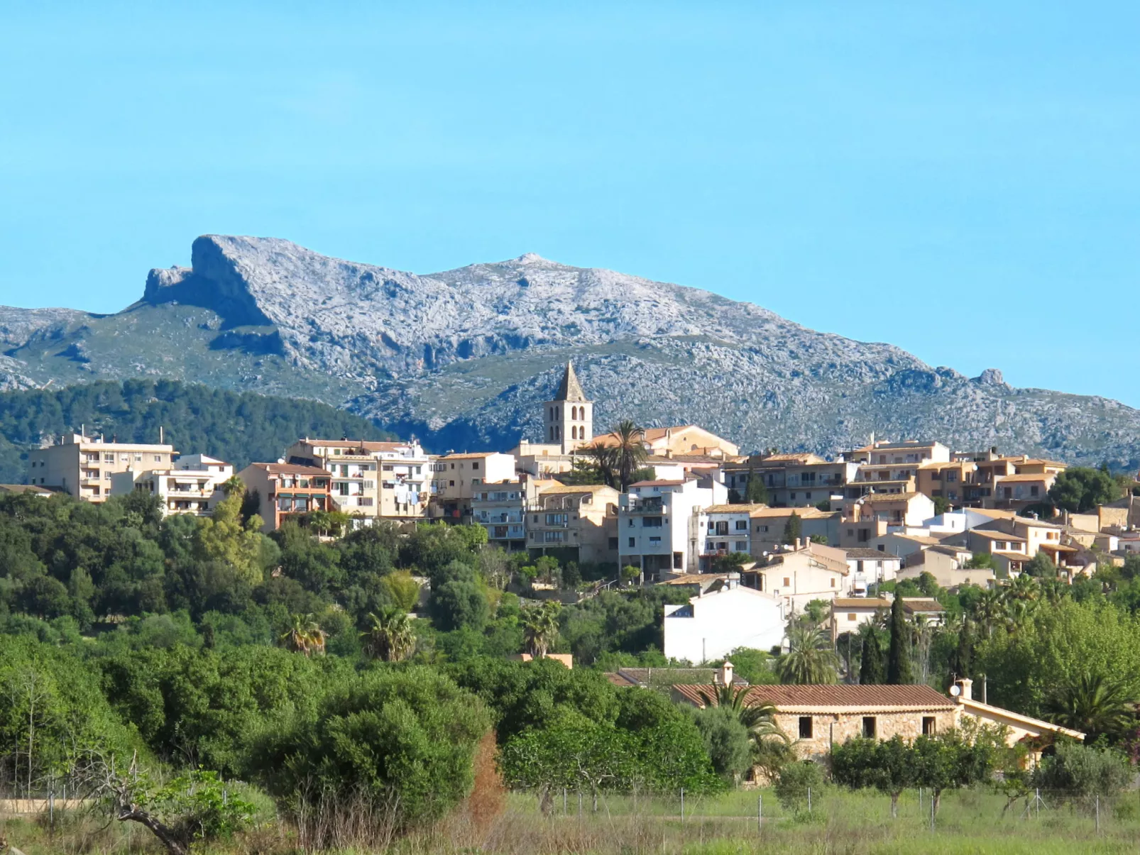 Urlaub Finca Mallorca Brücke - Omgeving