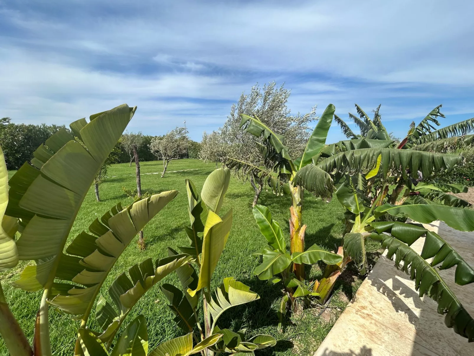 Wohnung in Noto mit Terrasse, gemeinsamem Pool und Garten - Image-tags.info