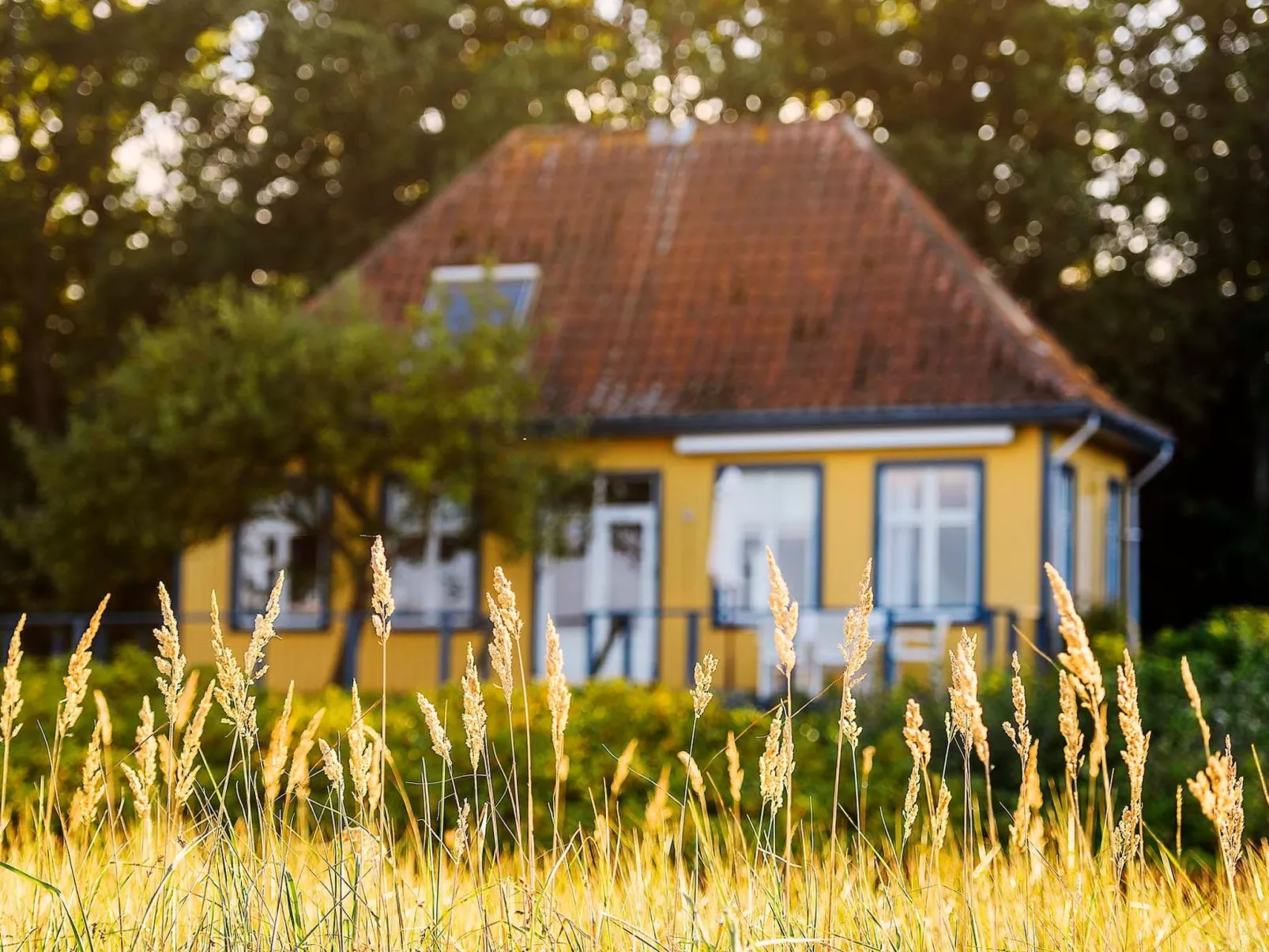 Historisches Strandanwesen mit Meerblick - Image-tags.info