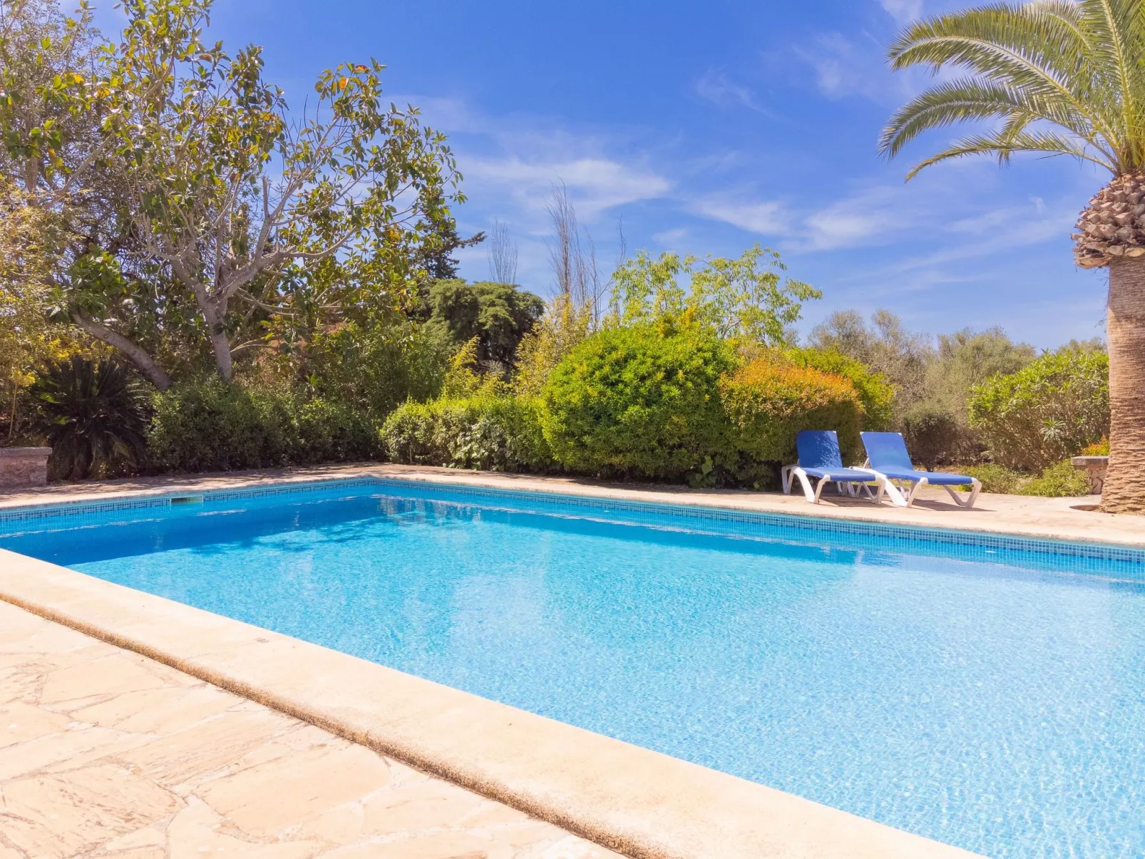 Finca Mal Ric - Buiten