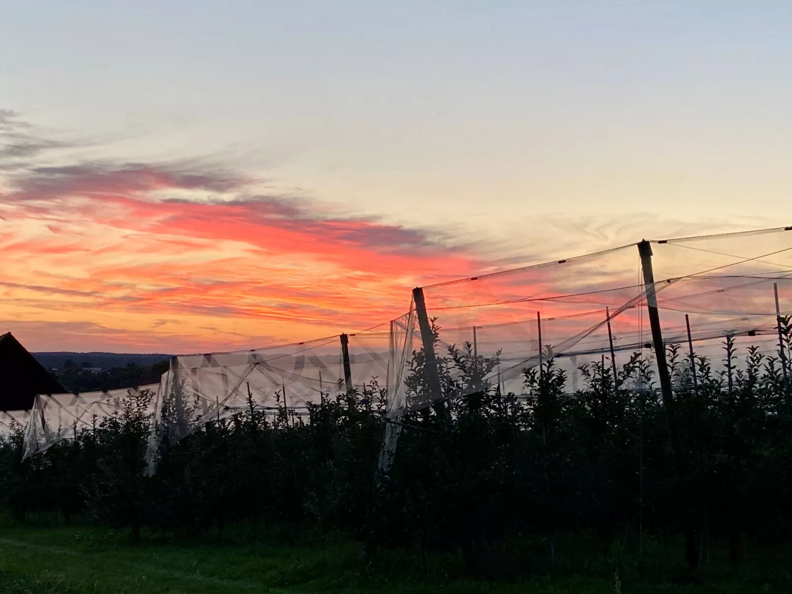 BLICKinsGRUEN - Image-tags.info