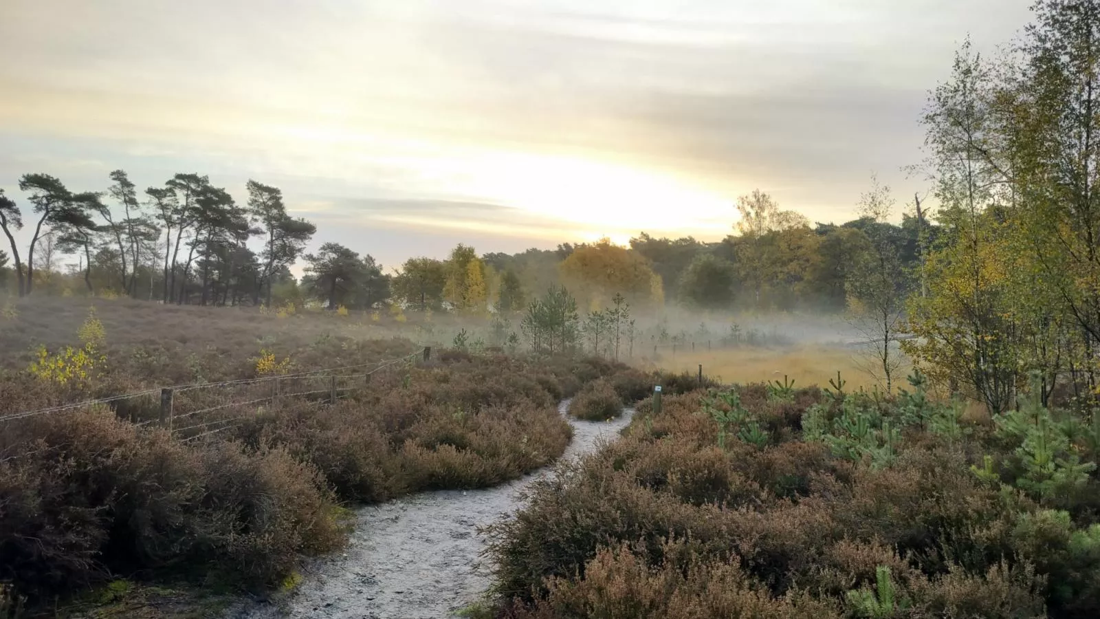 Lierelodge - Gebieden zomer 1km