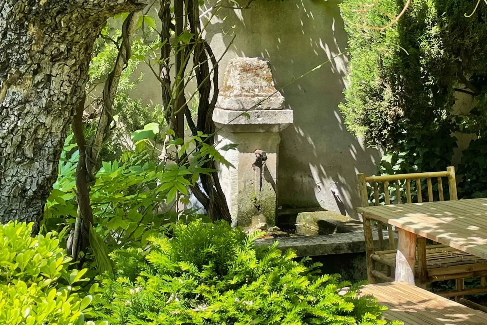 Mas Maillane demeure du XVIIIe entièrement rénové-Tuinen zomer