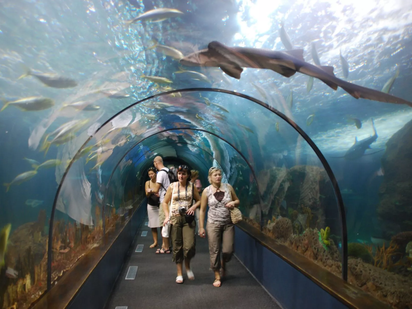 "Green Park 140 - Image-tags.info