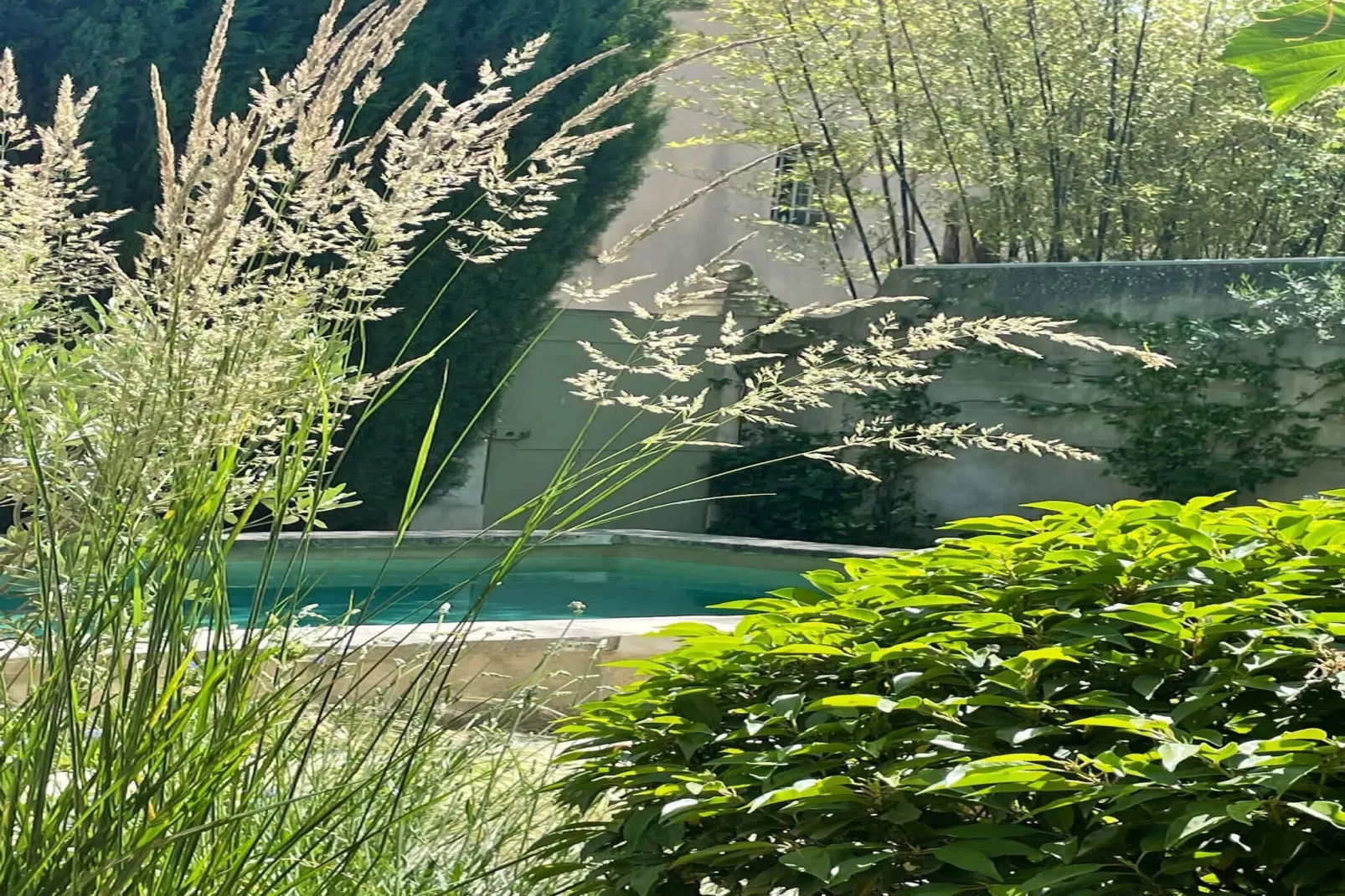 Mas Maillane demeure du XVIIIe entièrement rénové-Tuinen zomer