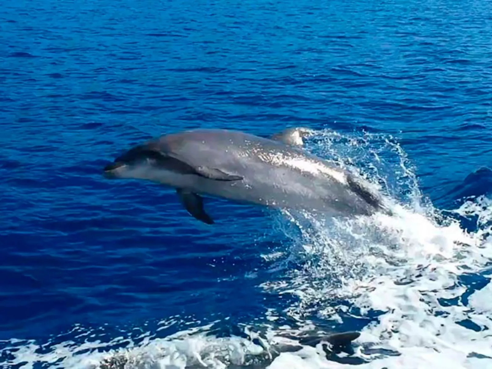 Studio mit beheiztem Pool - Image-tags.info