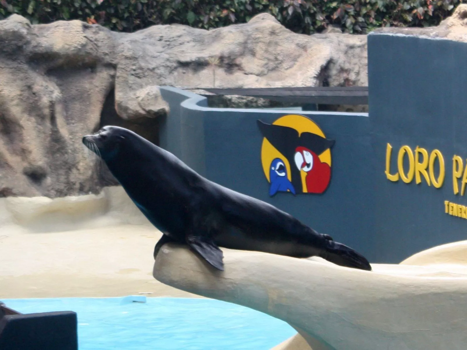 Studio mit beheiztem Pool - Image-tags.info