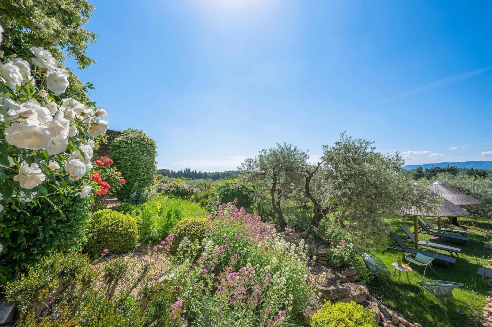Le Mas Elaïa  votre havre familial avec piscine privée-Tuinen zomer
