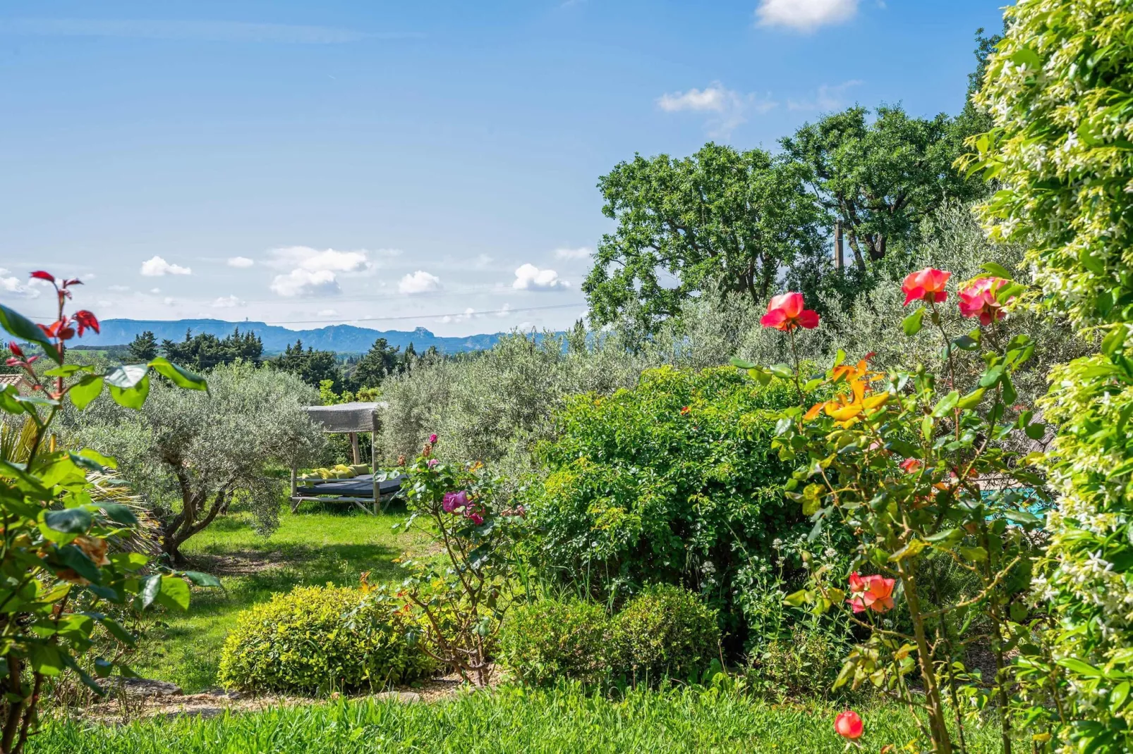 Le Mas Elaïa  votre havre familial avec piscine privée-Tuinen zomer