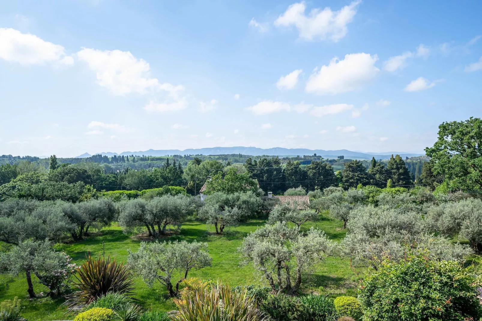 Le Mas Elaïa  votre havre familial avec piscine privée-Tuinen zomer