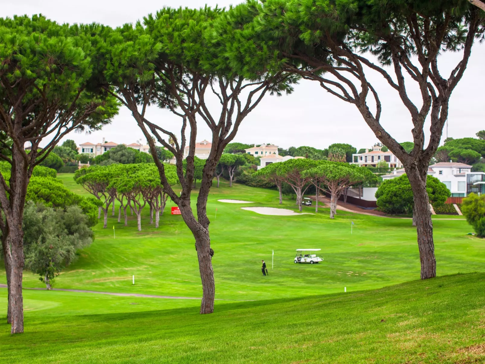 "Elena 1" mit Blick auf das Wasser - Image-tags.info