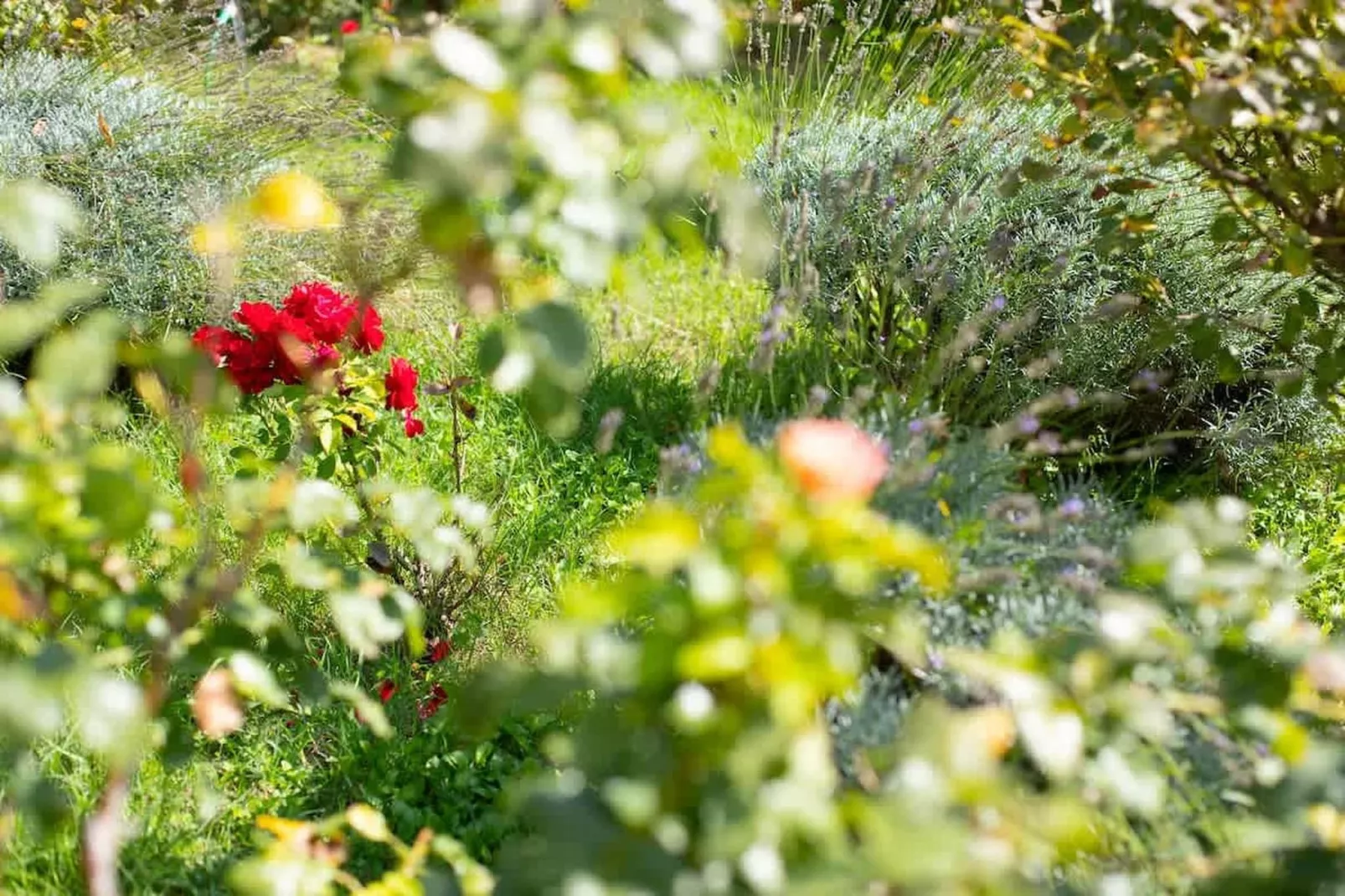 Charmant Mas Provençal avec piscine et jacuzzis-Sfeer