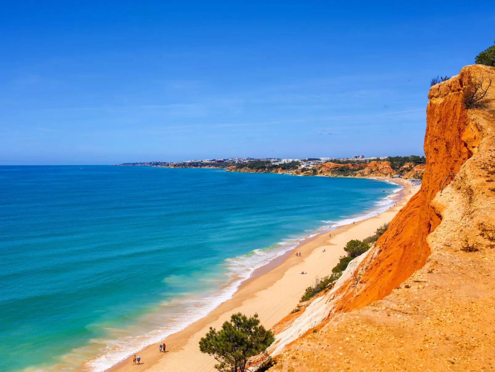 "Elena 1" mit Blick auf das Wasser - Image-tags.info