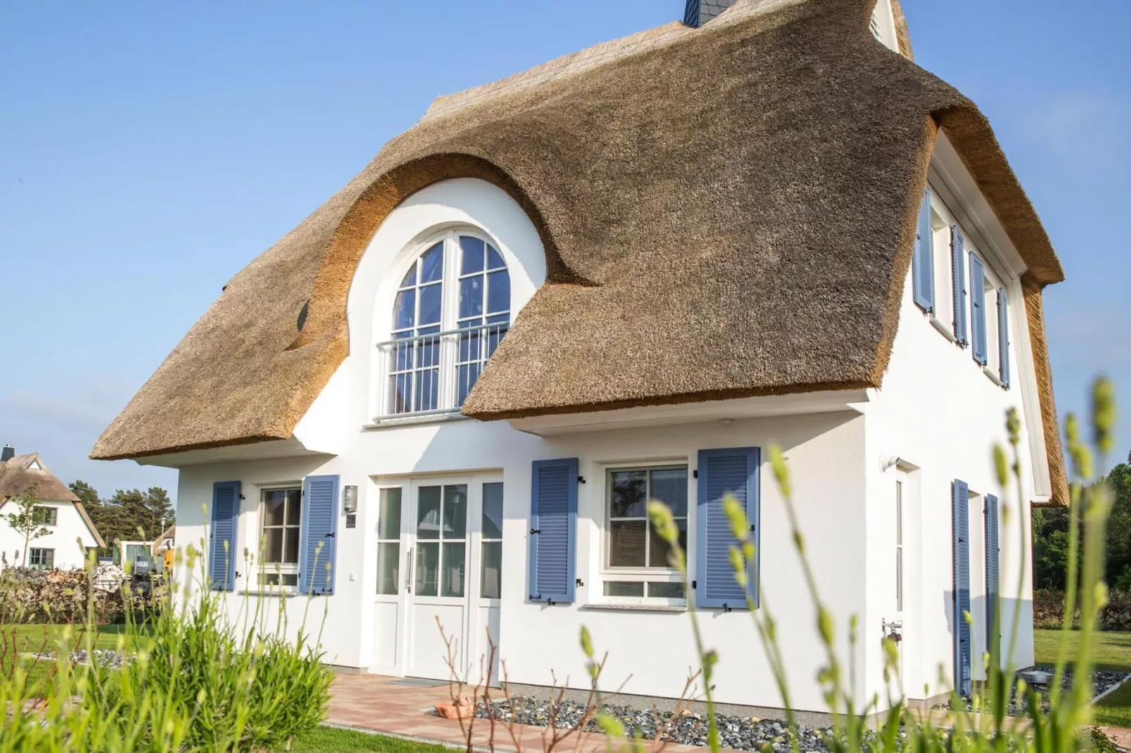 Schilfrohrsänger 43