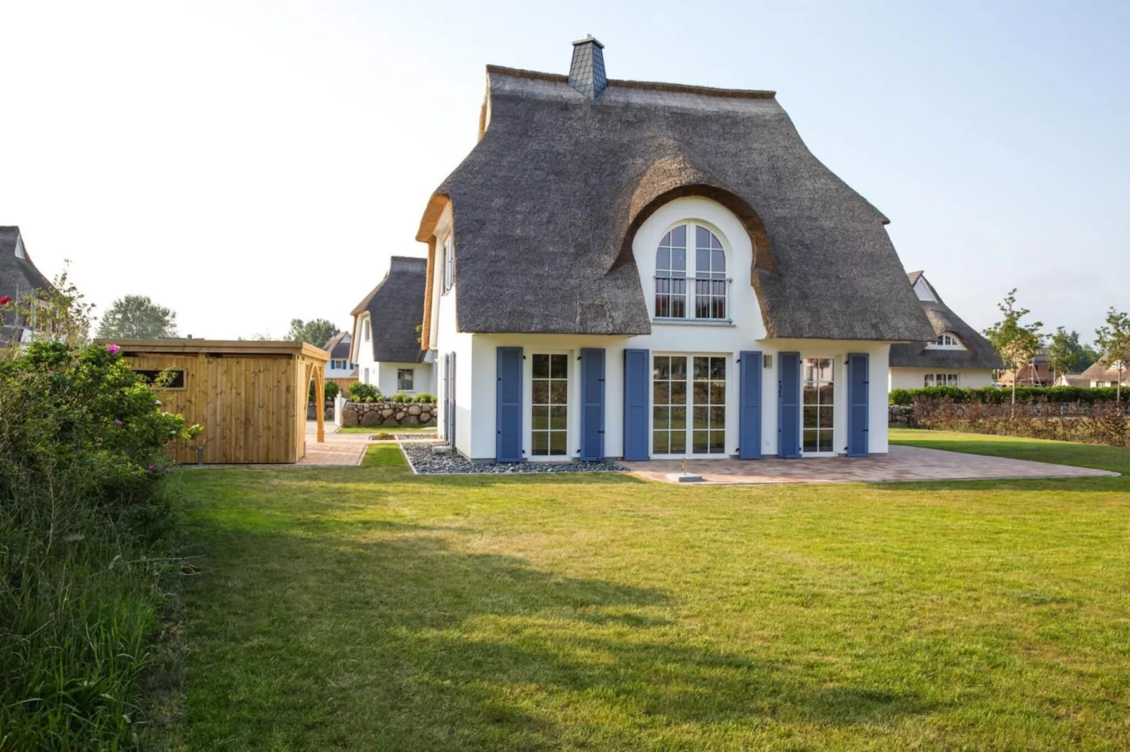 Schilfrohrsänger 43-Buitenkant zomer