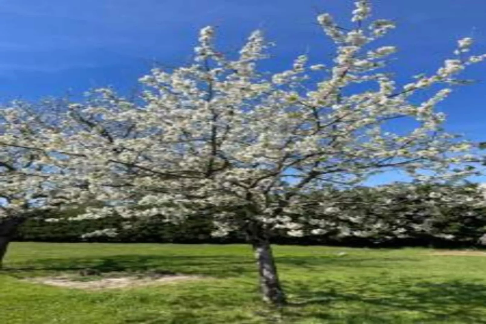 Chambre zen chez l'habitant avec piscine-Gebieden zomer 20km