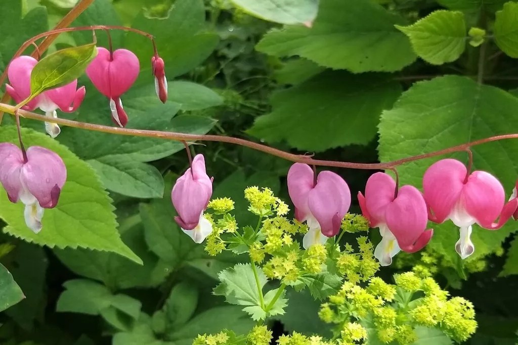 273368 - Niet-getagd