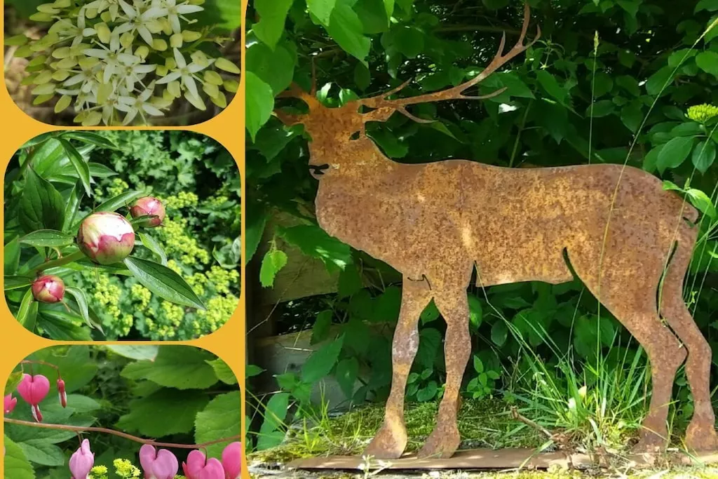 273366 - Niet-getagd