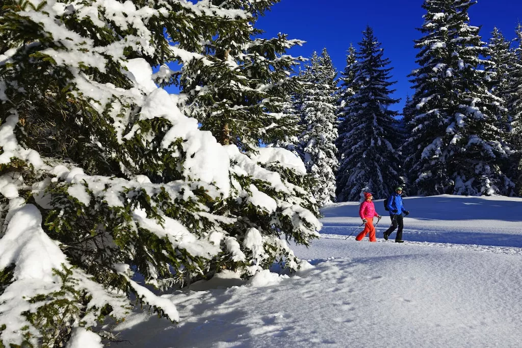 515566 - Niet-getagd