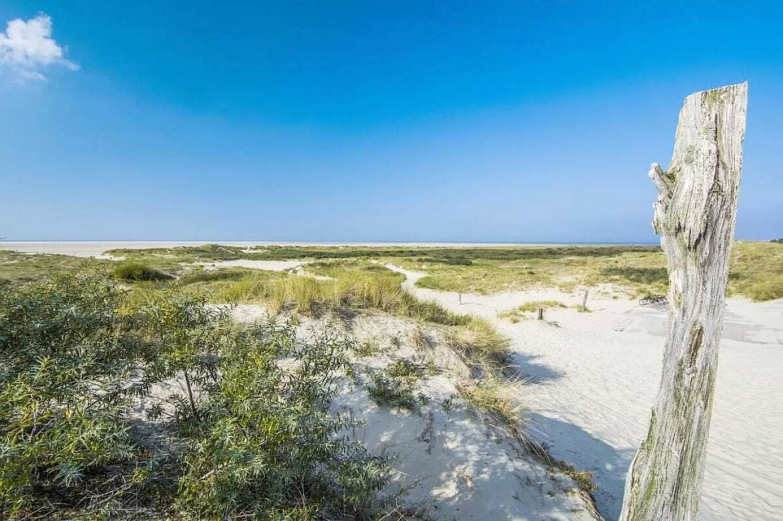 75891-Gebieden zomer 5km