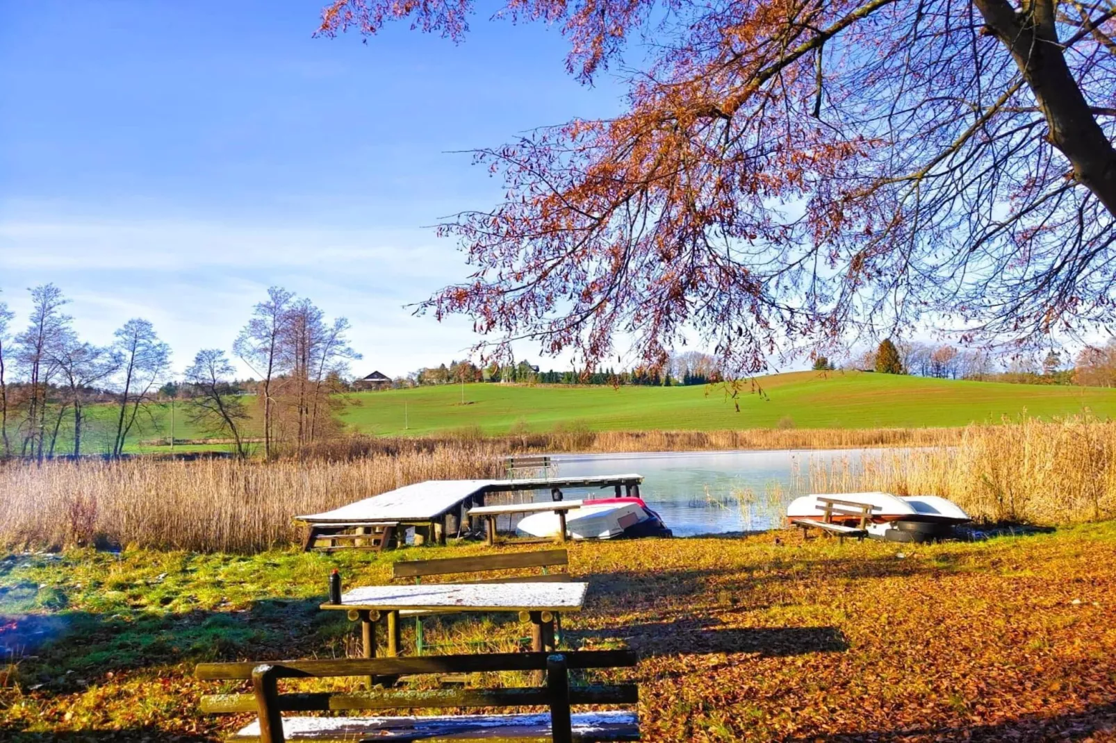 Apartments Rekowo 40 qm - Tuinen zomer