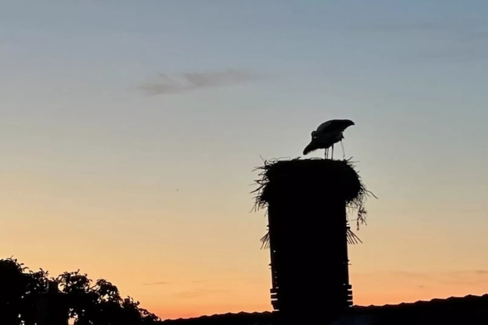 Fewo Gielow-Gebieden zomer 1km