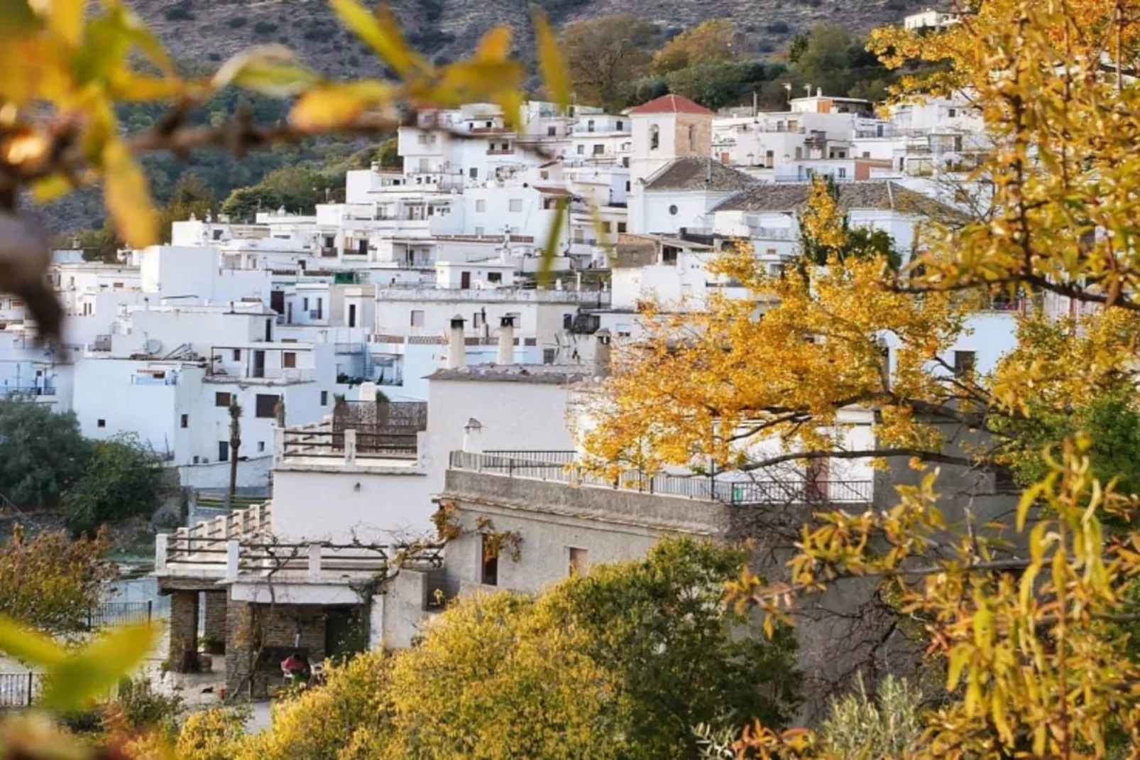 4784-+34616098696-Gebieden zomer 1km