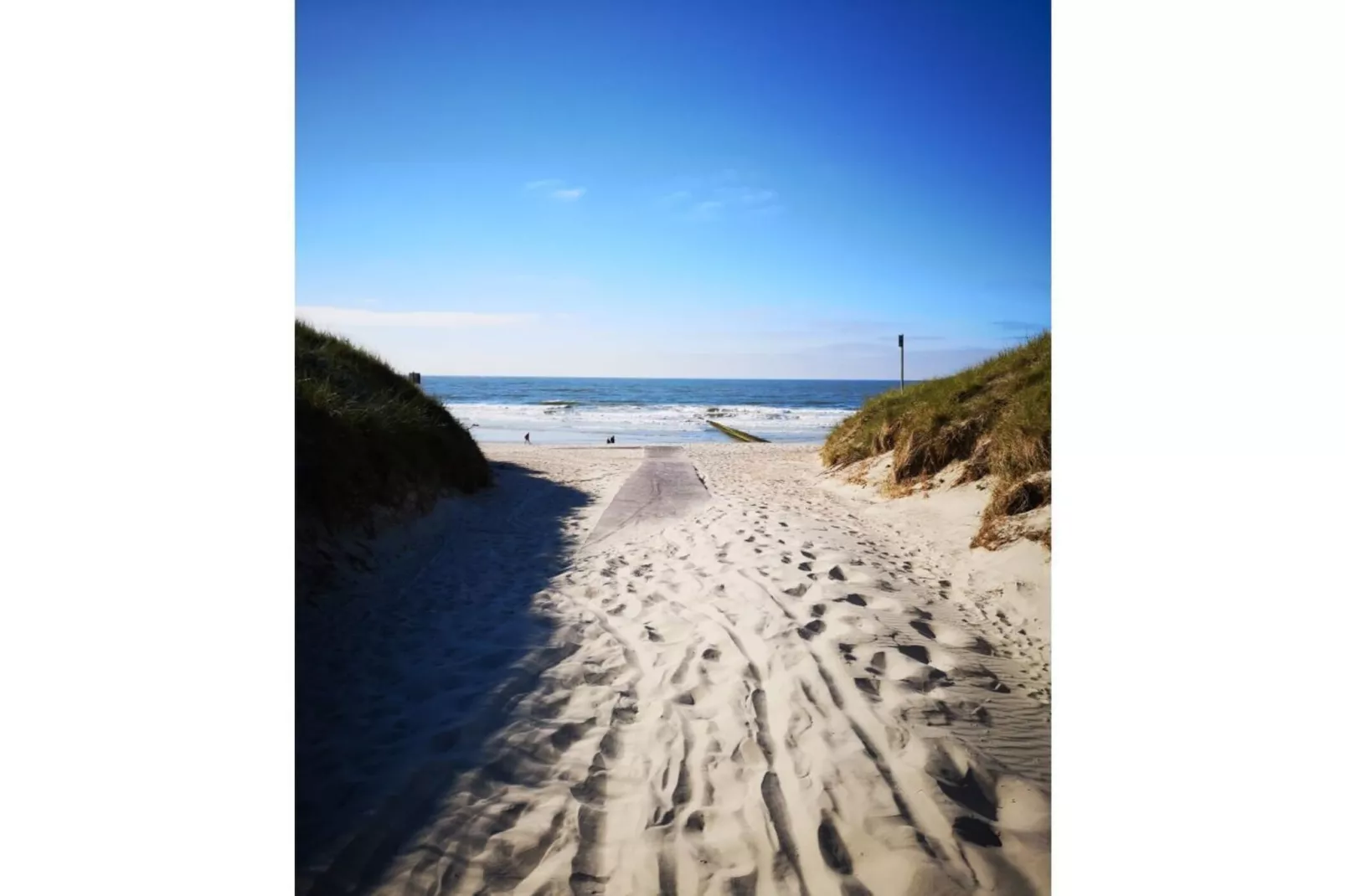 108687-Gebieden zomer 5km