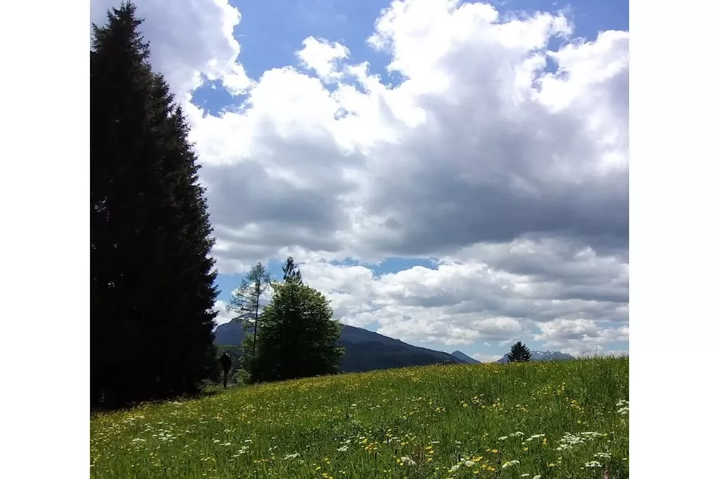 515581 - Niet-getagd