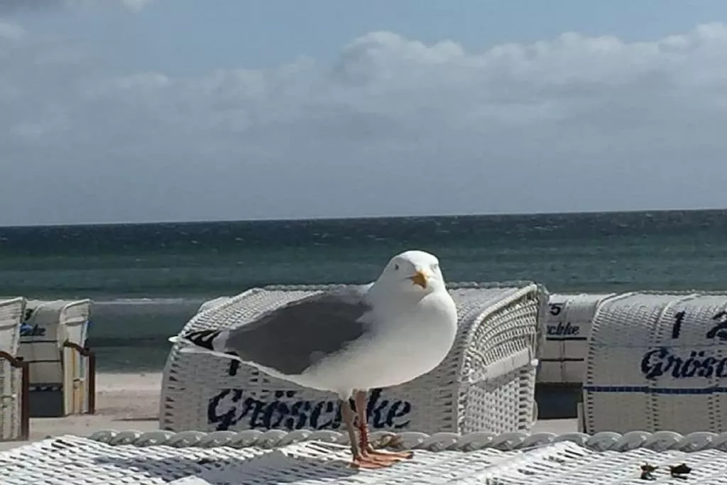 218380 - Niet-getagd