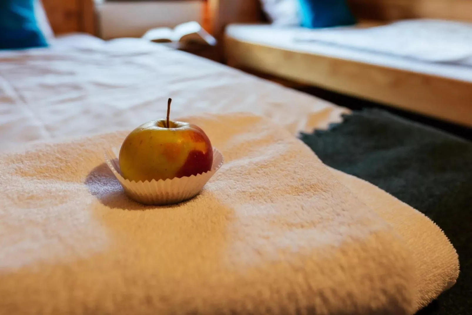 Dom przy drodze Skansen dla 8 osób Bełczna-Sfeer