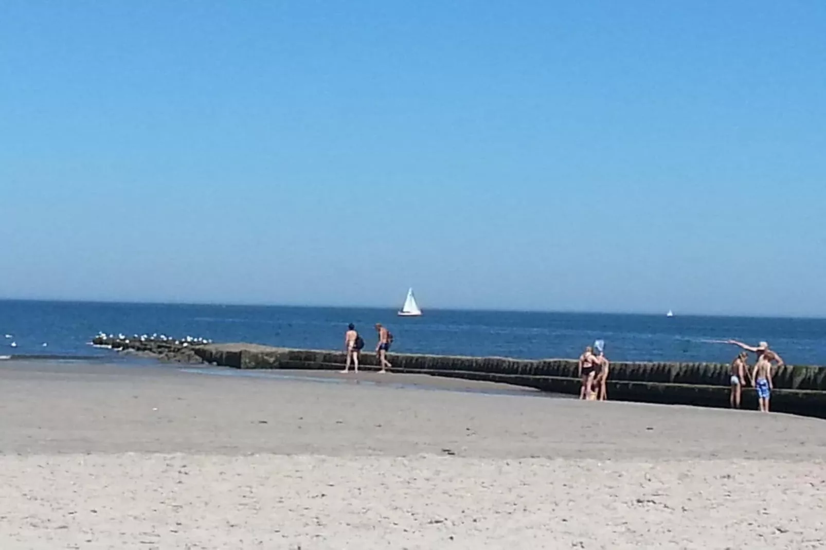 78297-Gebieden zomer 5km