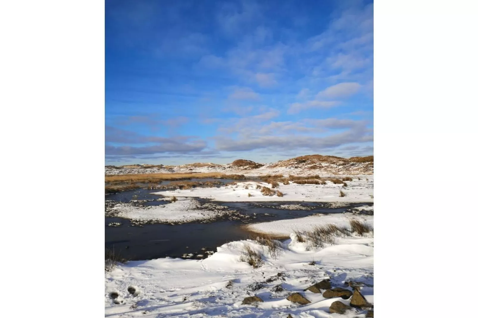 509350 - Gebied winter 5km