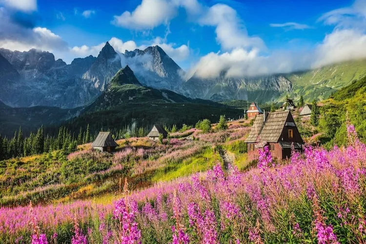 Dom wakacyjny TATRA WOOD HOUSE 1-Gebieden zomer 5km