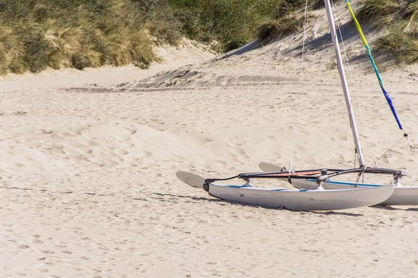 75893-Gebieden zomer 5km