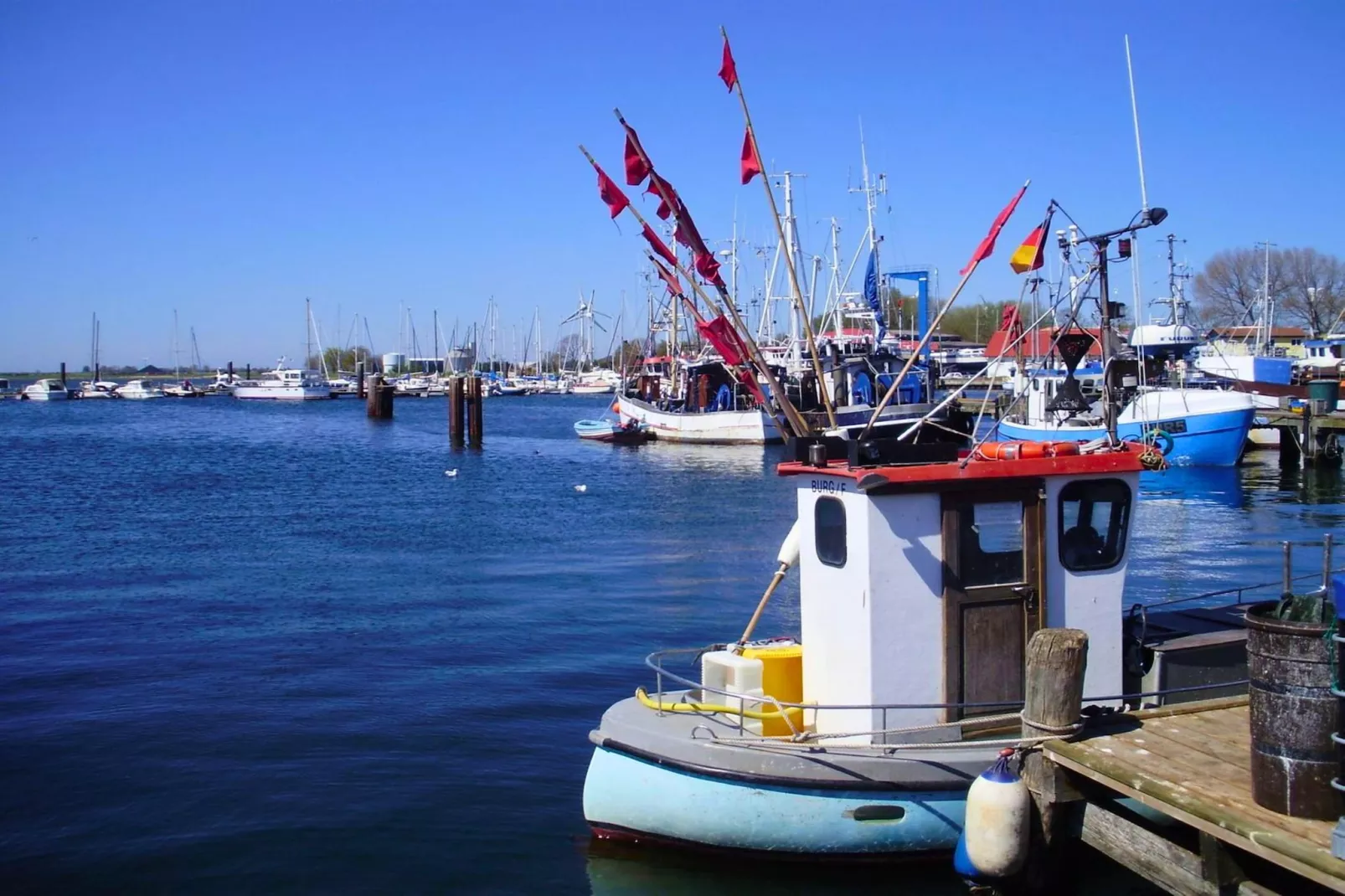 Am Rundsteg 7-Gebieden zomer 1km