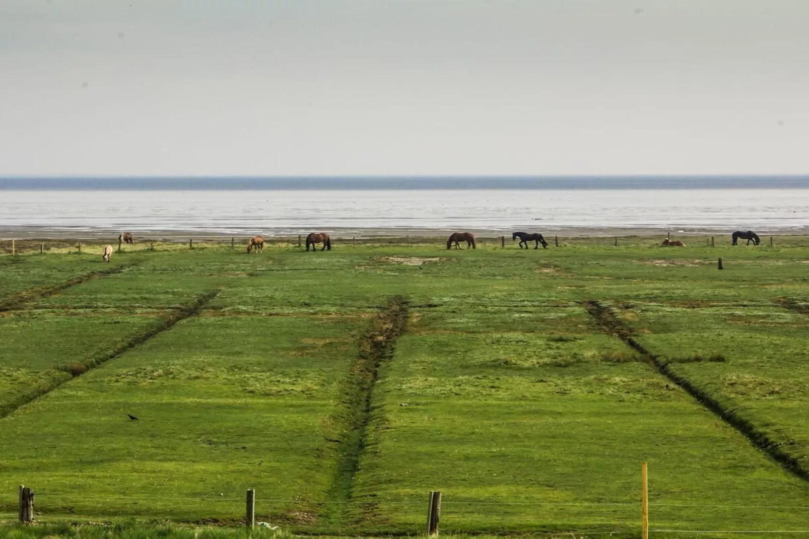 210744-Gebieden zomer 5km