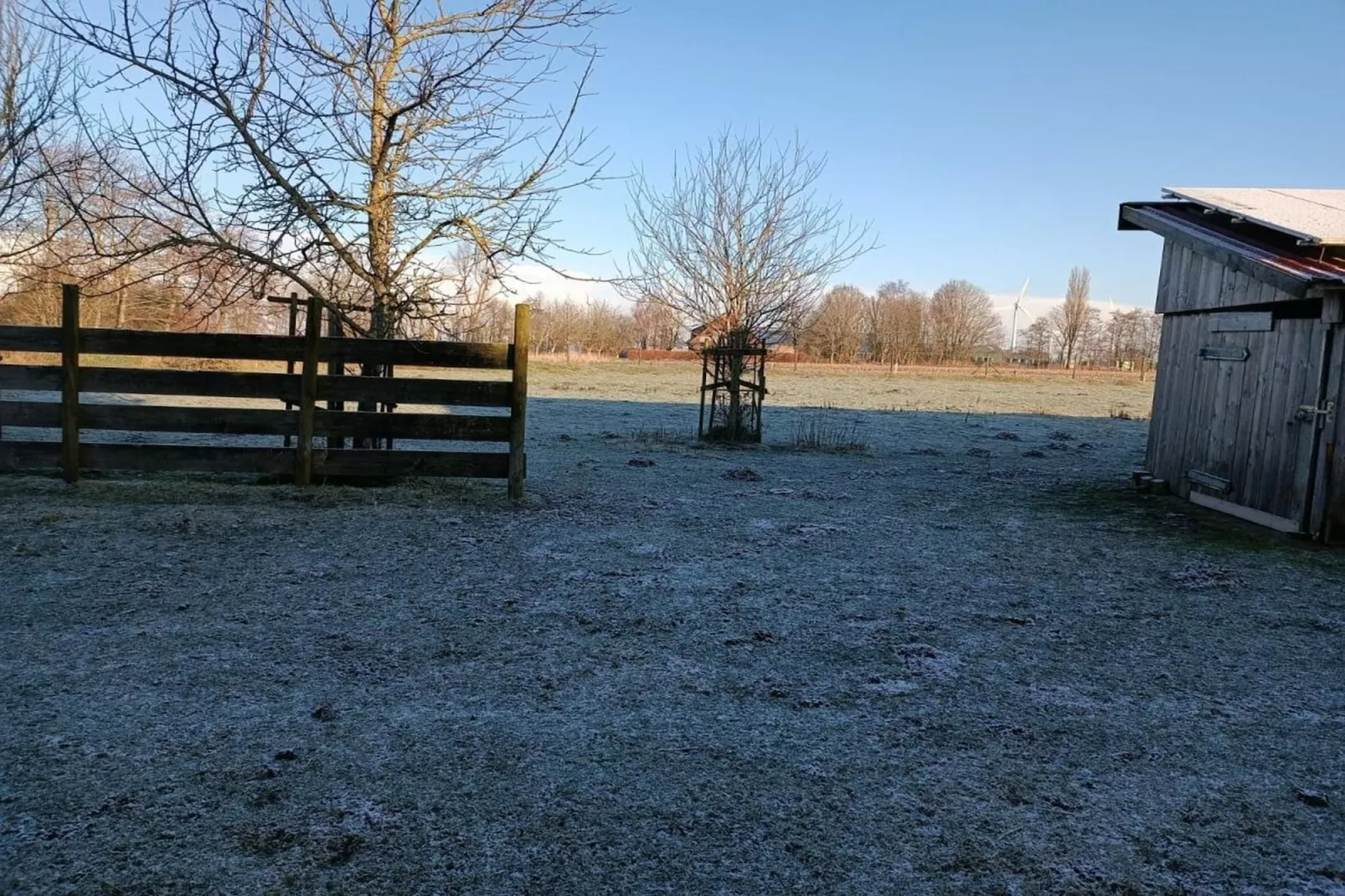 268431-Gebieden zomer 1km