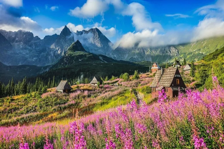 Dom wakacyjny TATRA WOOD HOUSE 2-Gebieden zomer 5km